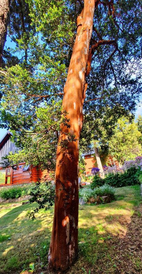 Laderas Del Campanario Villa San Carlos de Bariloche Dış mekan fotoğraf